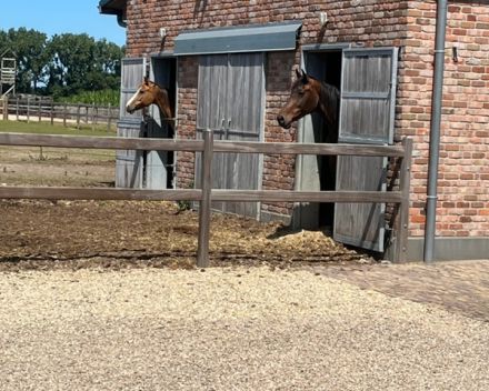 Genieten van de omgeving.